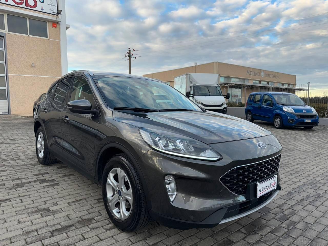 Ford Kuga 1.5 EcoBlue 120 CV aut. 2WD ST-Line X