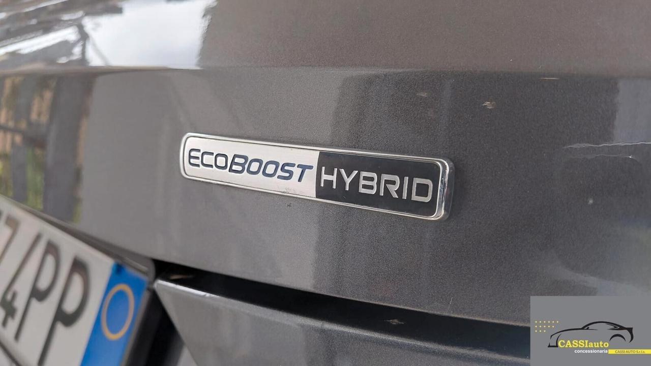 Ford Puma Hybrid 125 CV Titanium X Distrib a Catena