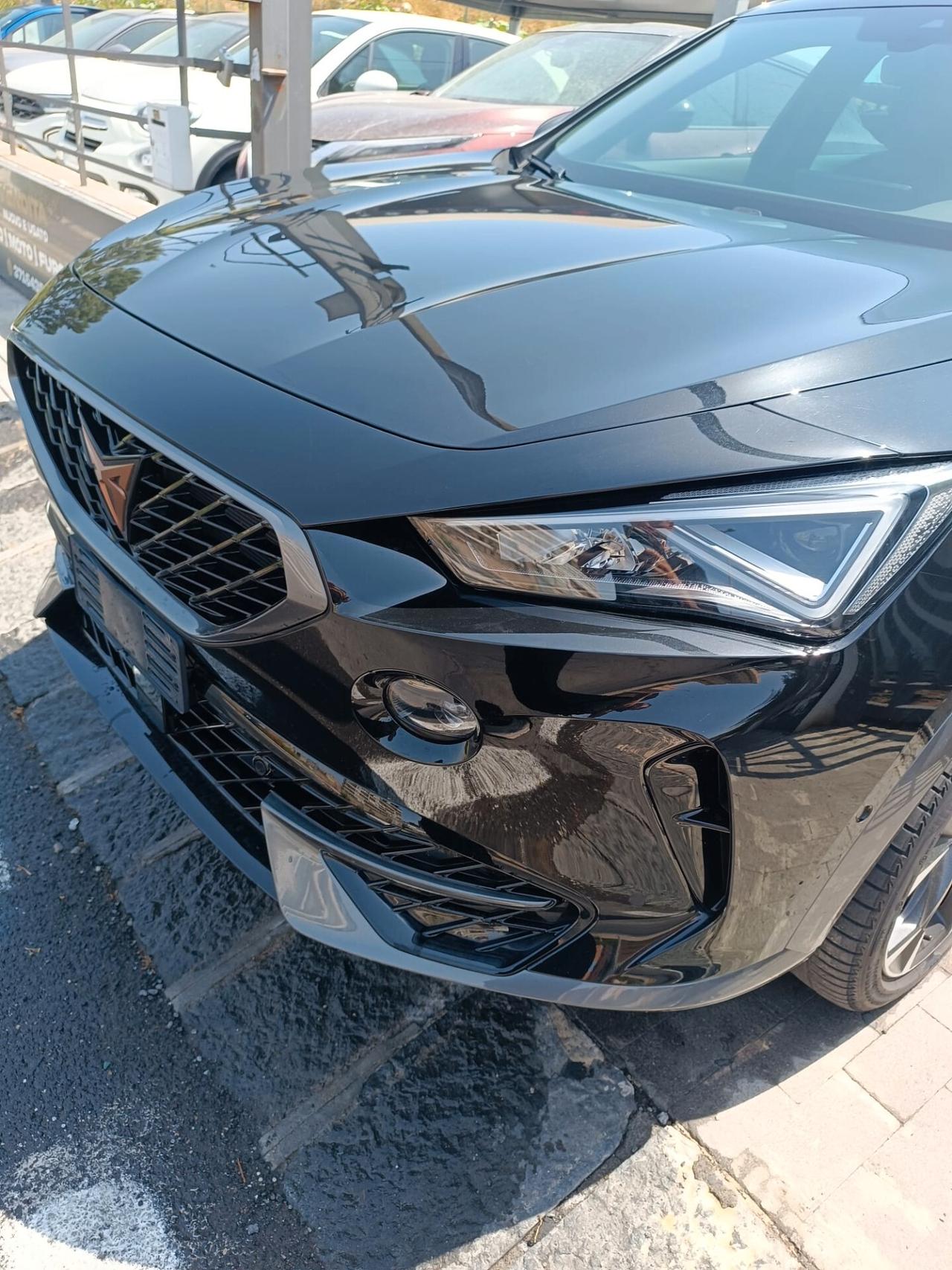 Cupra Formentor 2.0 TSI 4Drive DSG