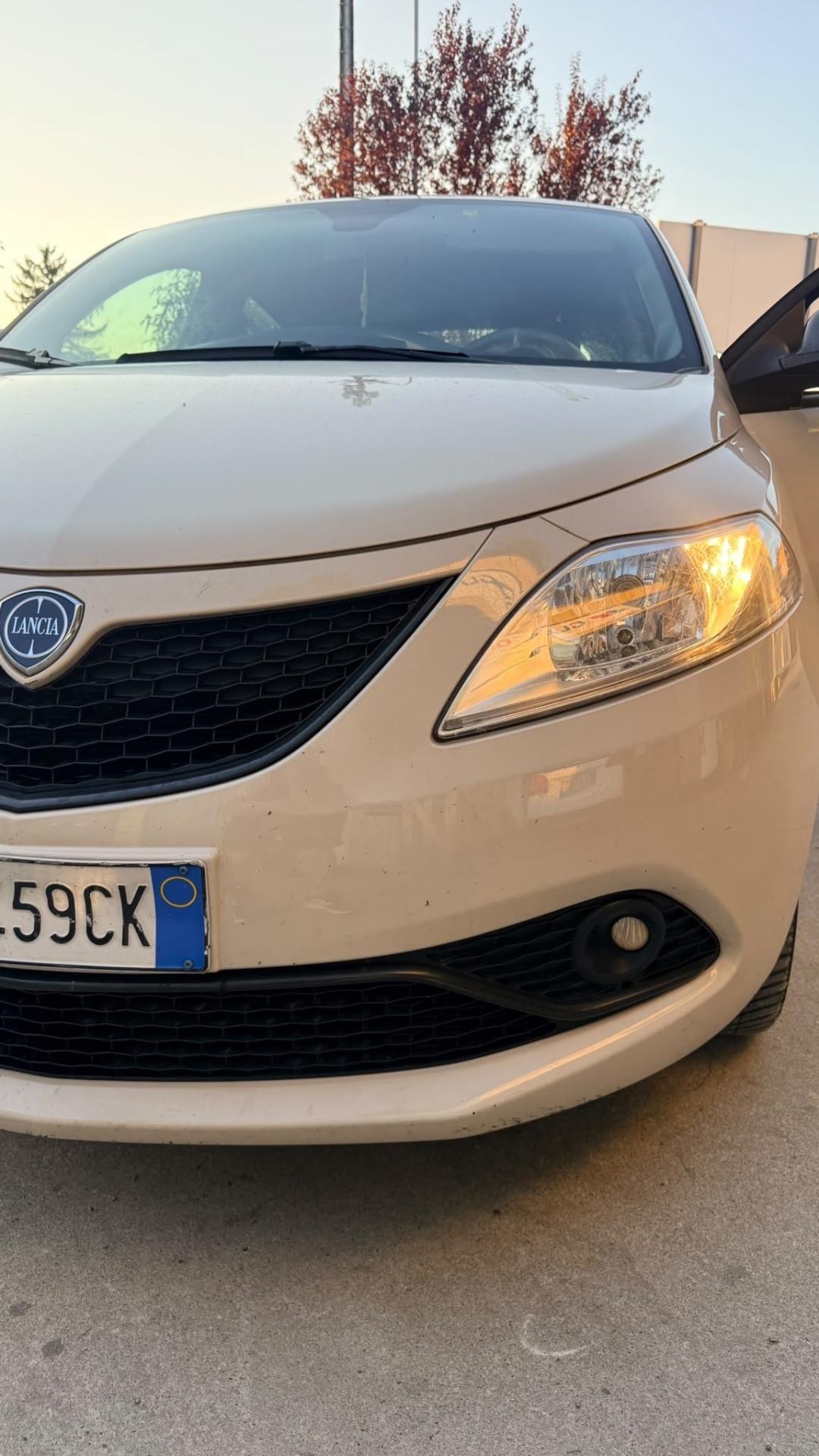Lancia Ypsilon 1.2 69 CV 5 porte S&S Platinum