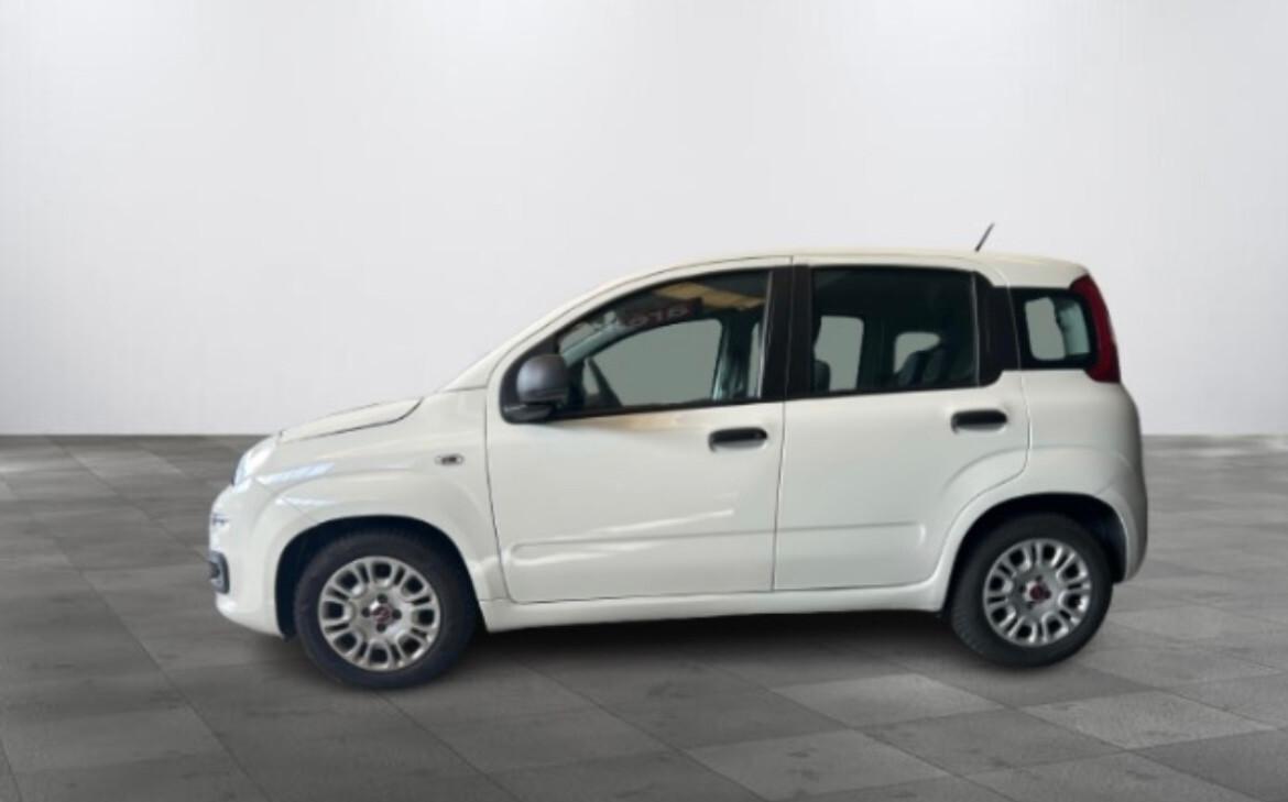Fiat Panda easy varie Panda 5p