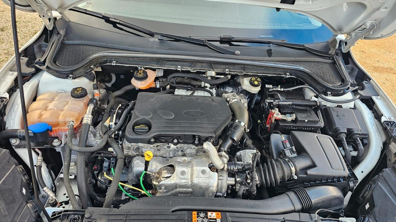 FORD FOCUS SW 1.5 ECOBLUE 120CV 2020 BUS CO-PILOT AUTO SW € 7.900,00