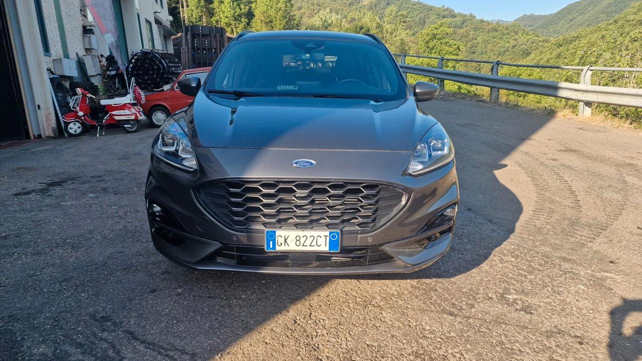 Ford Kuga 1.5 EcoBlue 120 CV 2WD ST-Line