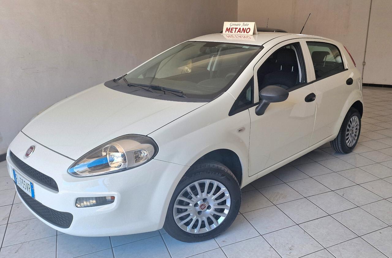 Fiat Punto 1.4 8V 5 porte Natural Power Street