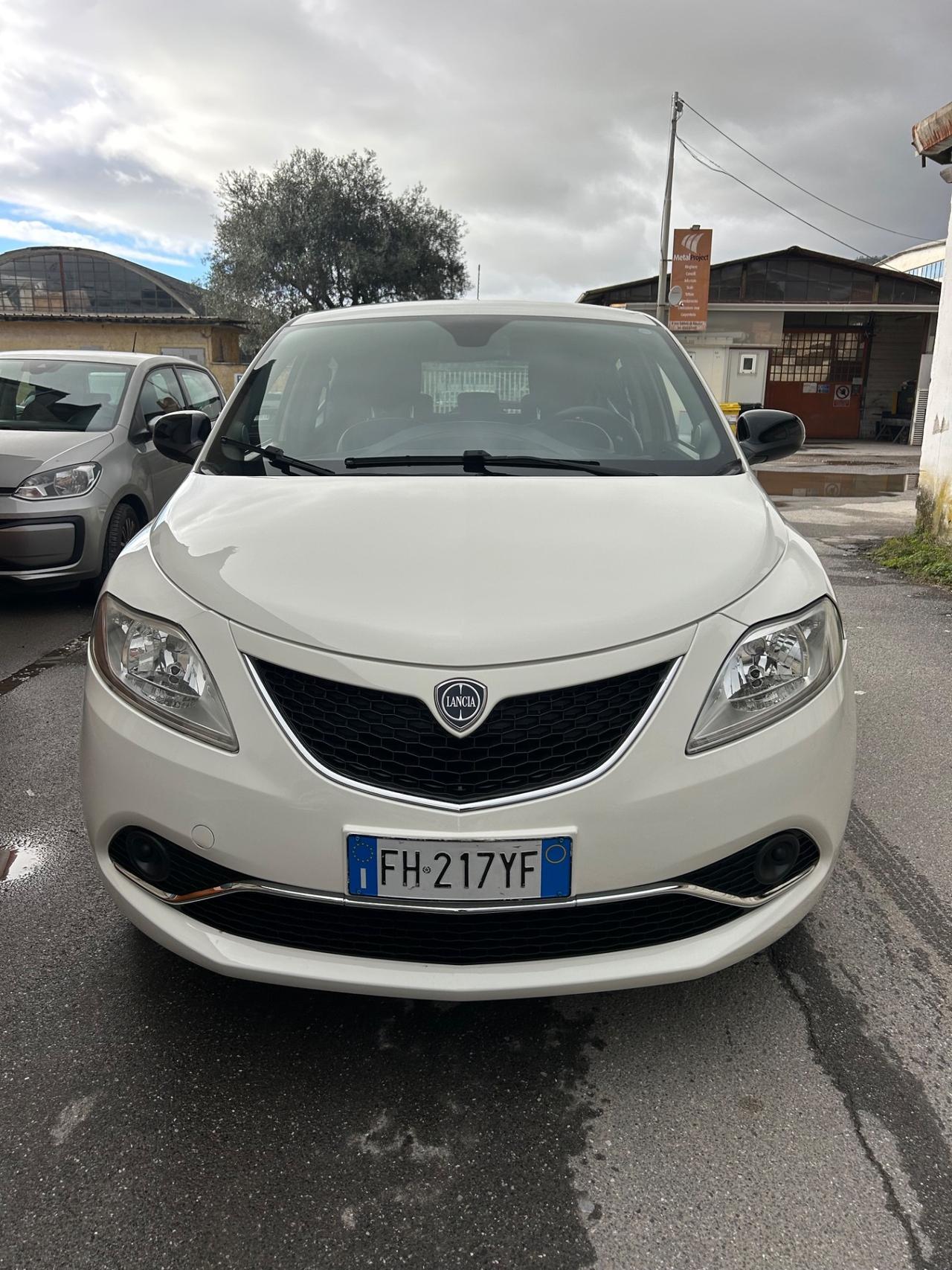 Lancia Ypsilon 1.2 69 CV 5 porte Platinum