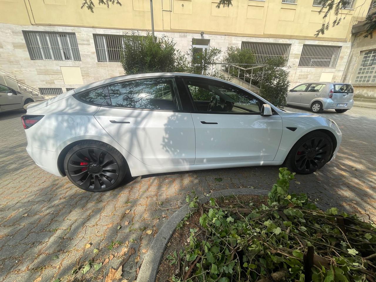 Tesla Model 3 Long Range Performance Dual Motor #5798