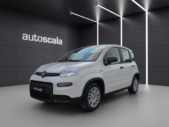 FIAT Panda 1.0 FireFly S&S Hybrid Pandina