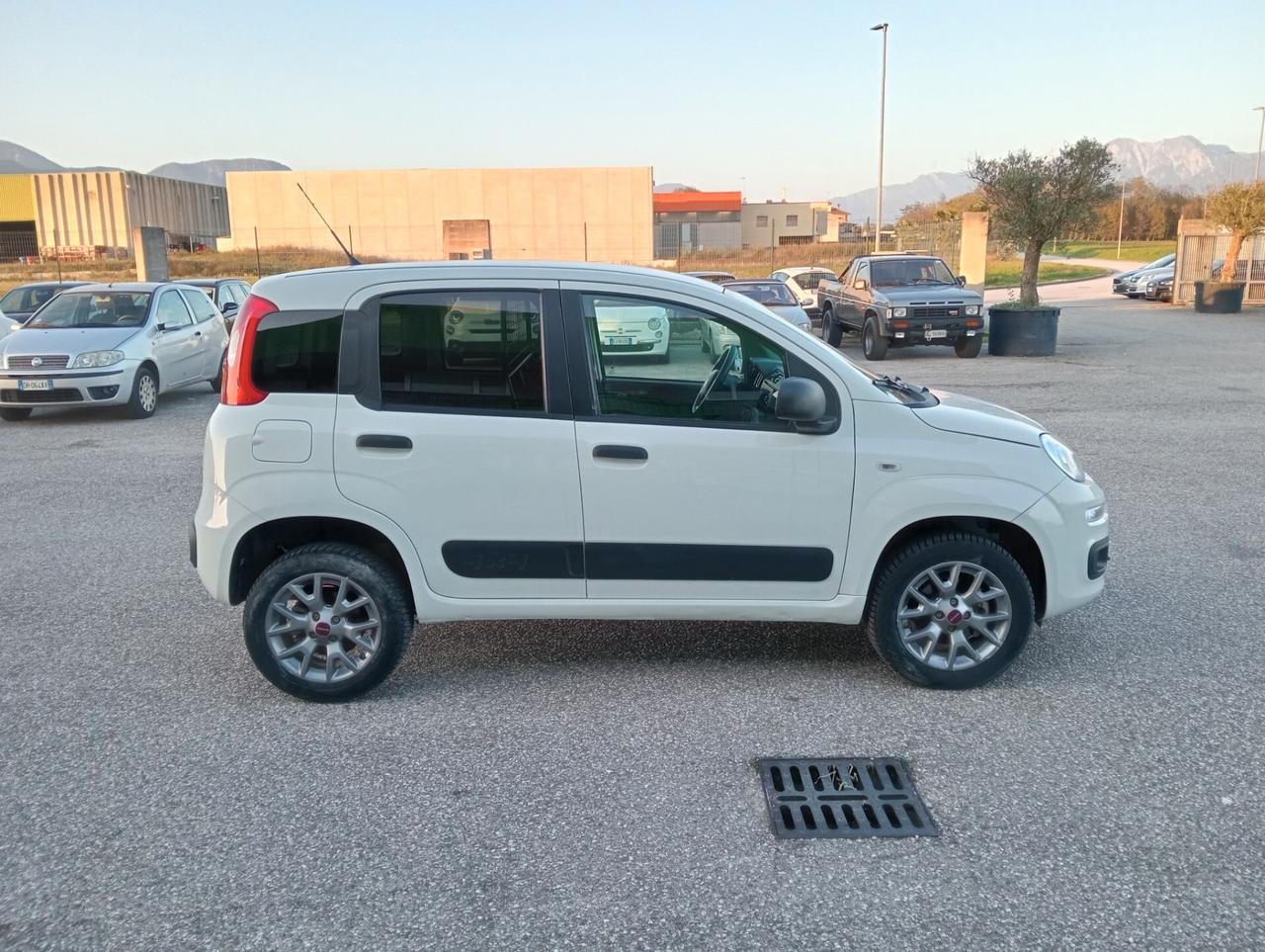 Fiat Panda 1.3 MJT 80CV 4x4 Van 2 posti