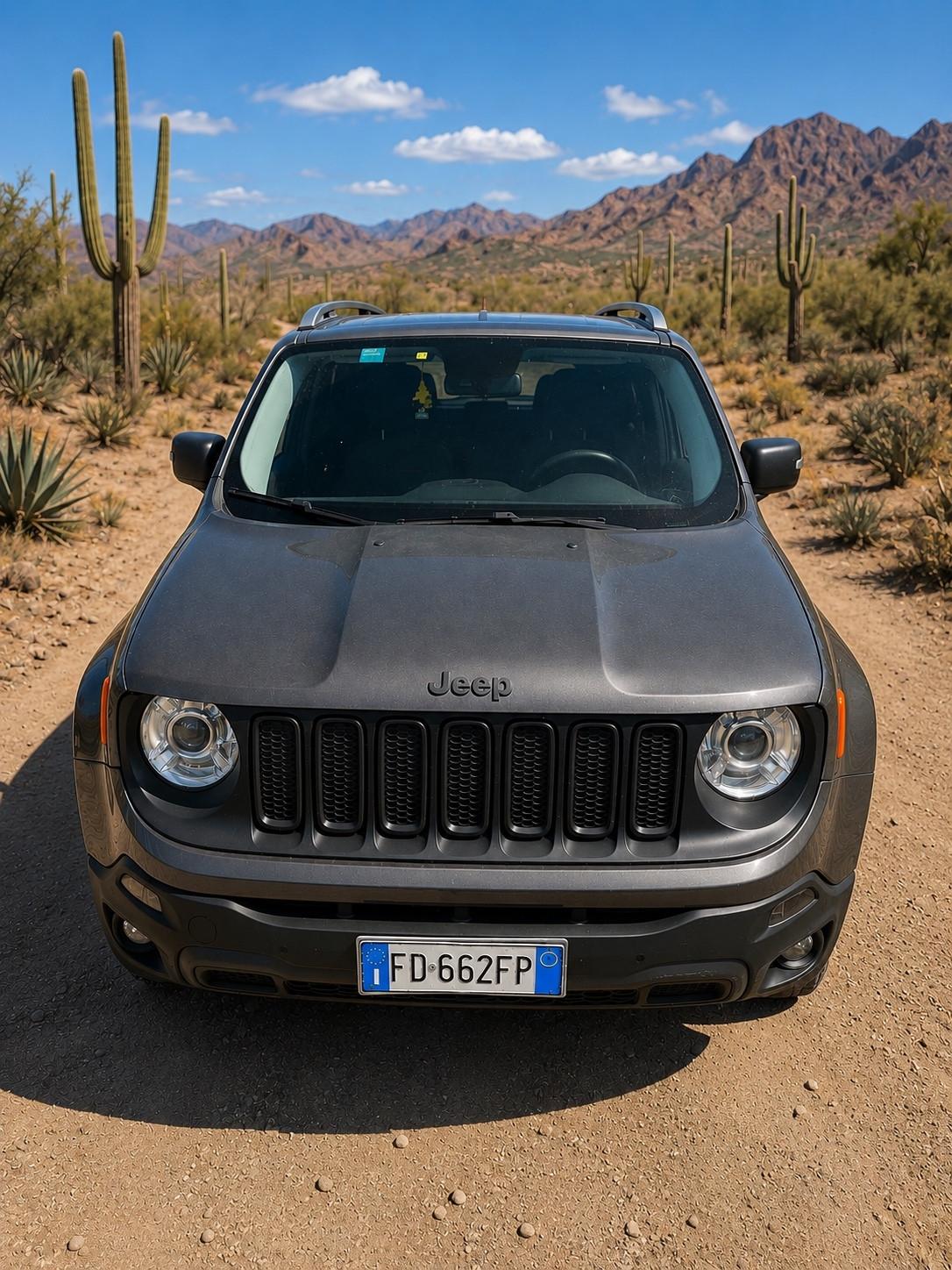 Jeep Renegade 2.0 Mjt 170CV 4WD Active Drive Low Trailhawk