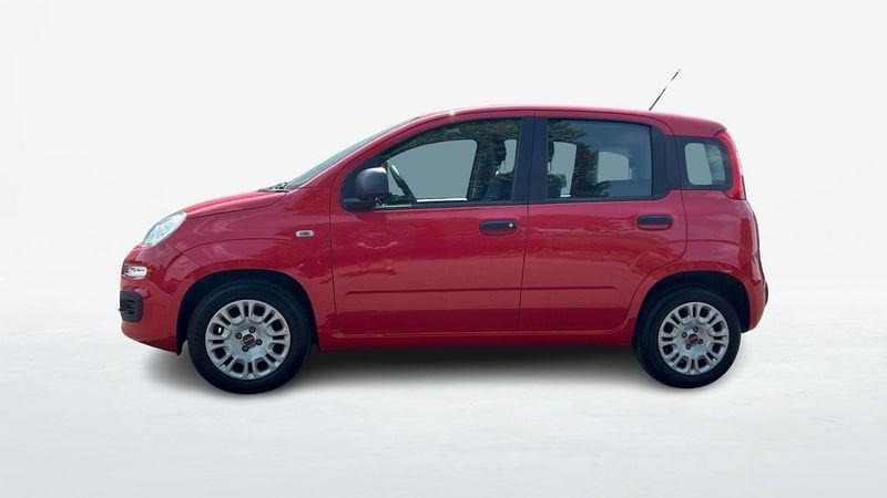 FIAT Panda 1.2 Easy s&s 69cv my19