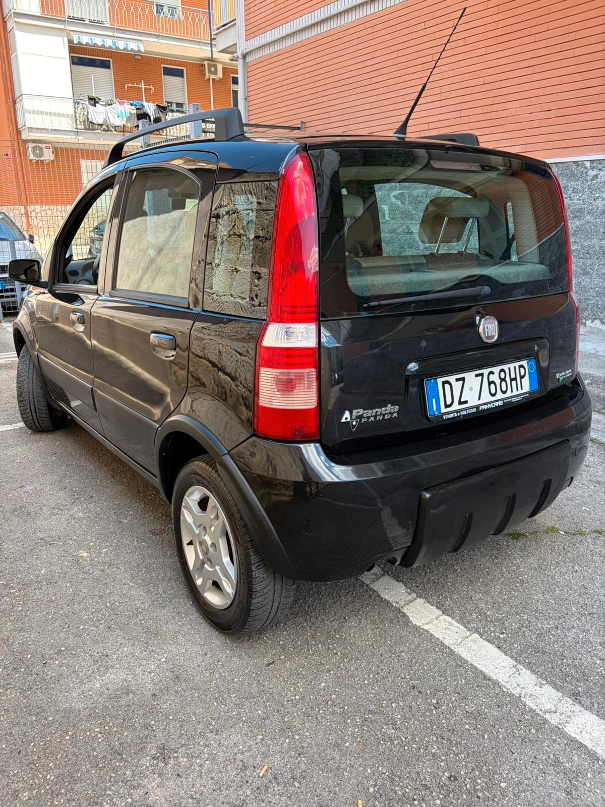 Fiat Panda 1.2 Climbing Natural Power