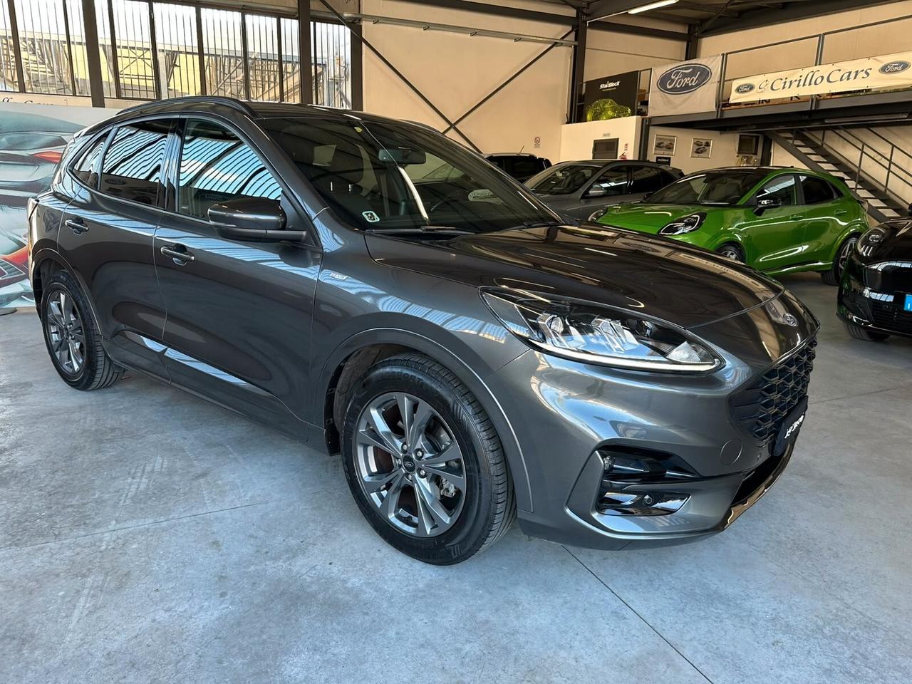 Ford Kuga 1.5 EcoBlue 120CV 2WD ST-Line