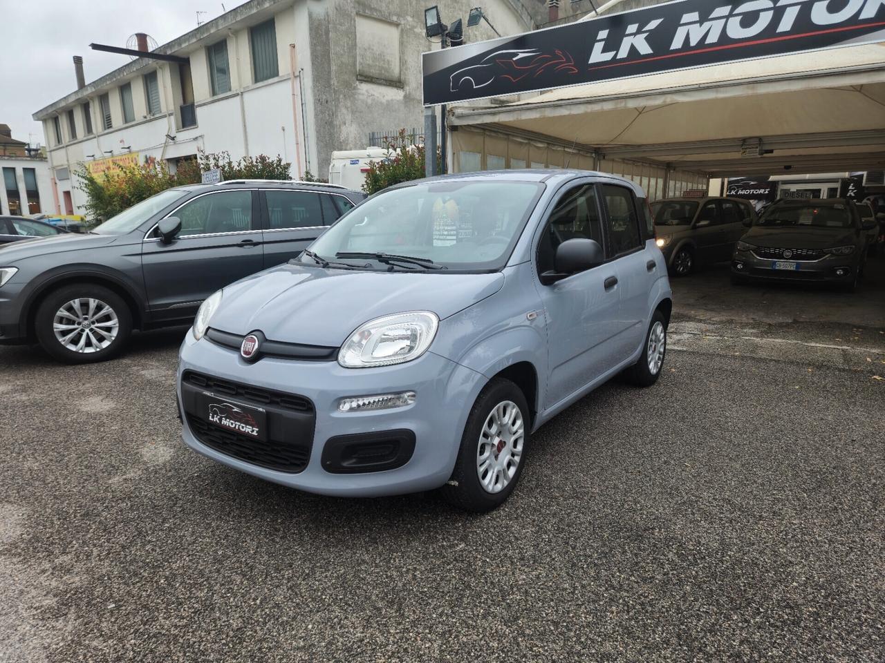 Fiat Panda 1.2 Easy Benzina NEOPATENTATI PROMO GARANZIA 24 MESI