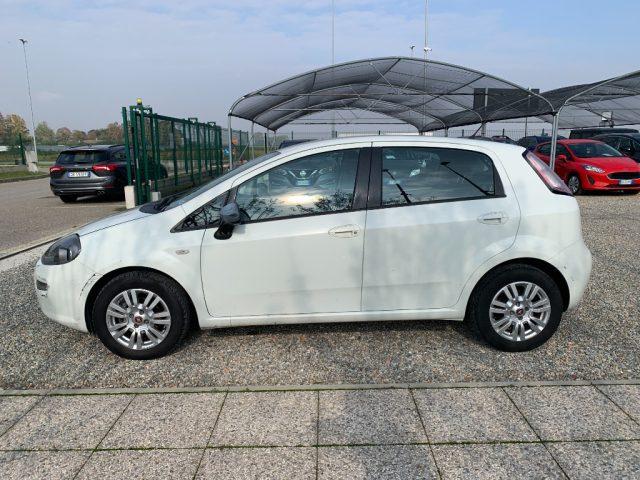 FIAT Punto 1.2 8V 5 porte Street