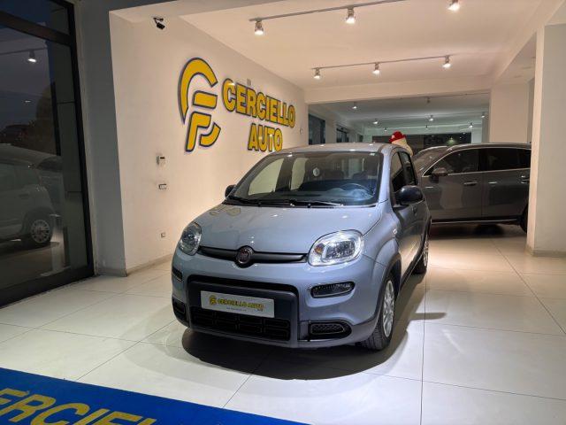 FIAT Panda 1.0 FireFly S&S Hybrid City Lifetua da ?139,00 men