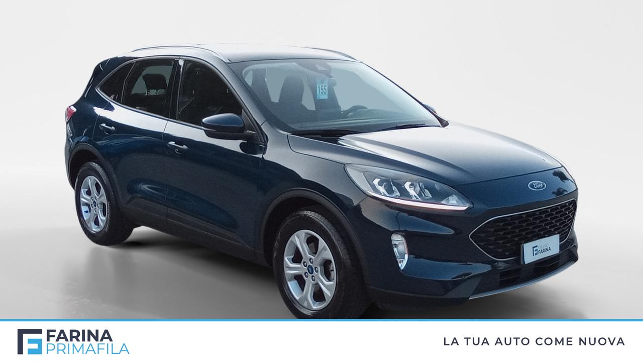 FORD Kuga III 2020 - Kuga 1.5 ecoblue Connect 2wd 120cv