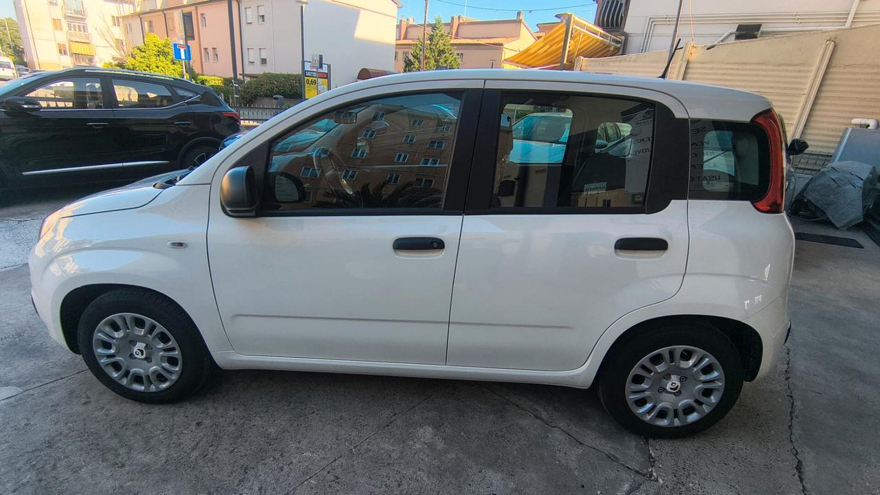Fiat Panda 1.0 FireFly S&S Hybrid Pandina