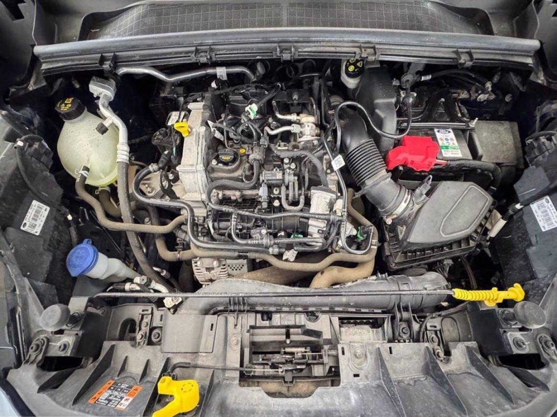 FORD Puma 1 0 ecoboost h titanium ses 125cv