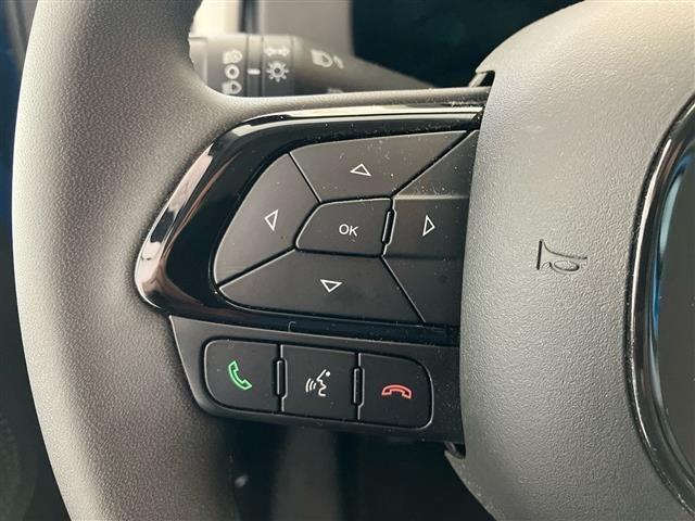 FIAT Panda Pandina Cross 1.0 FireFly Hybrid 70cv S&S