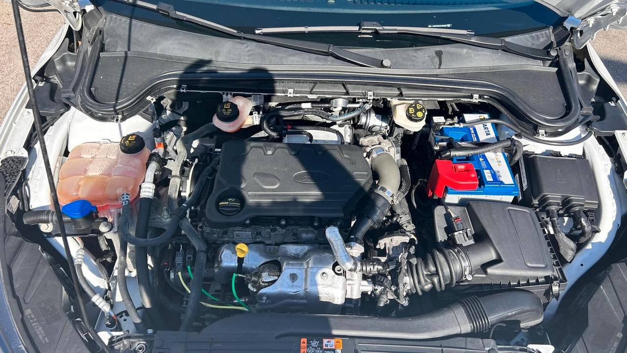 Ford Focus 1.5 EcoBlue 120 CV automatico SW Business Co-Pilot"accetto permuta"