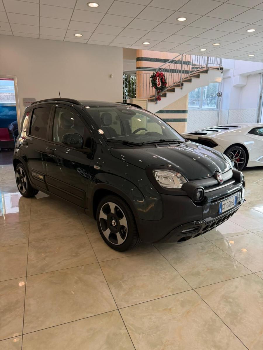 FIAT - Panda - 1.0 FireFly S&S Hybrid Pandina