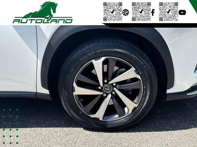LEXUS NX 300 Hybrid 4WD Executive 155 CV