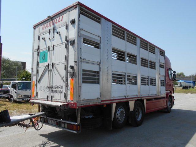 SCANIA R480 TRASPORTO BESTIAME
