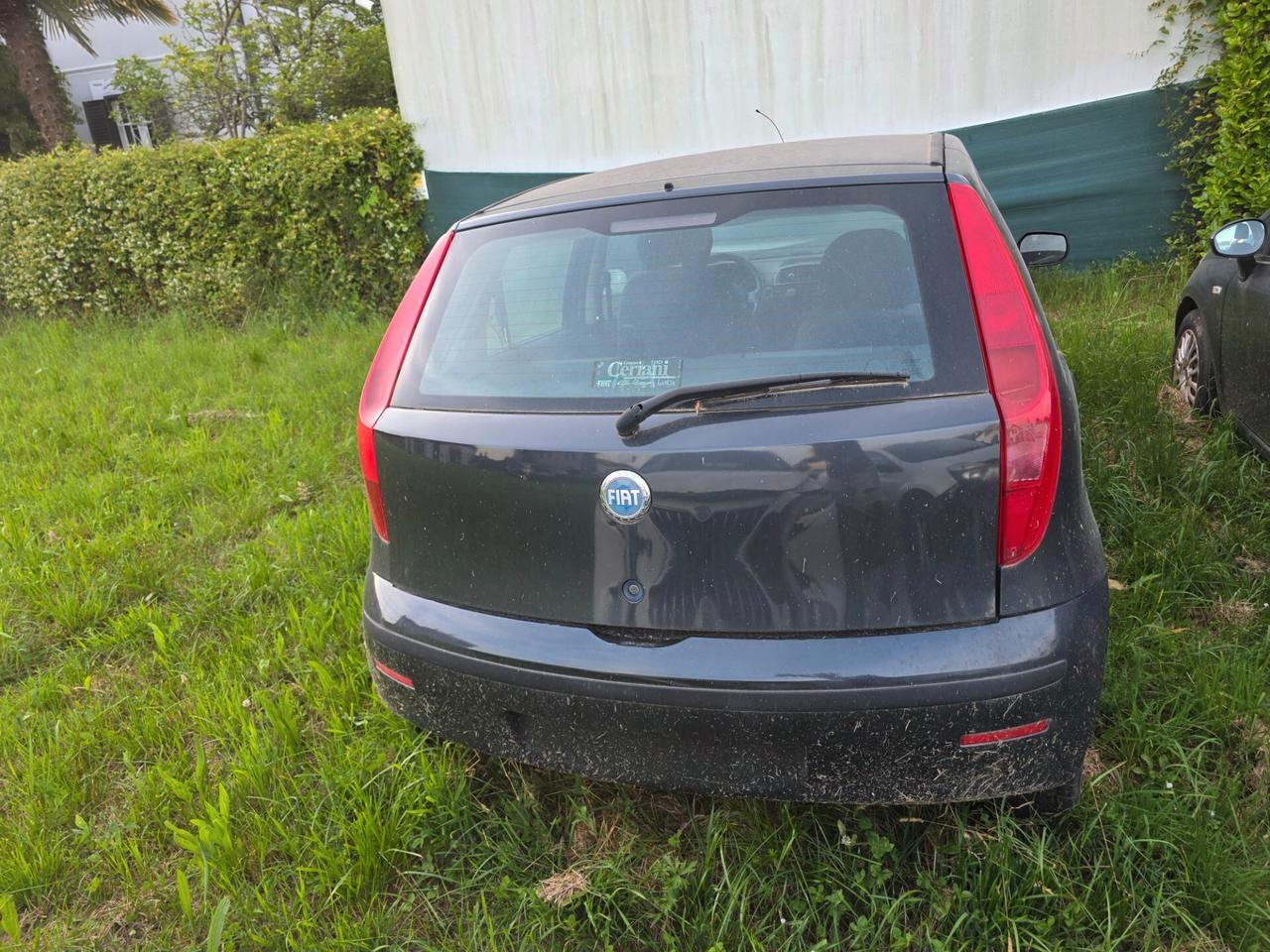 Fiat Punto Evo 1.3 Mjt 75 CV 5 porte Active