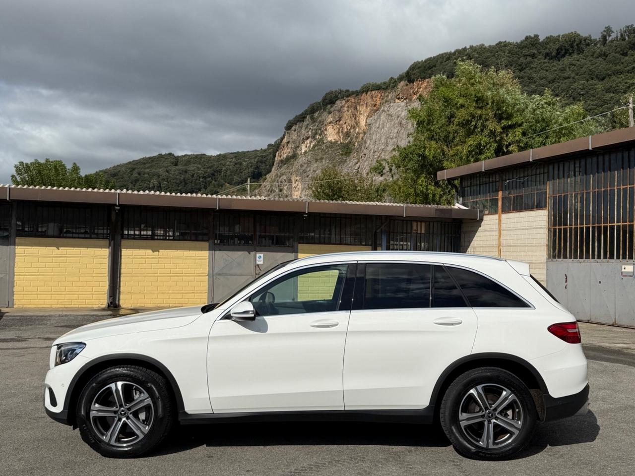 Mercedes-benz GLC 220 GLC 220 d 4Matic Premium