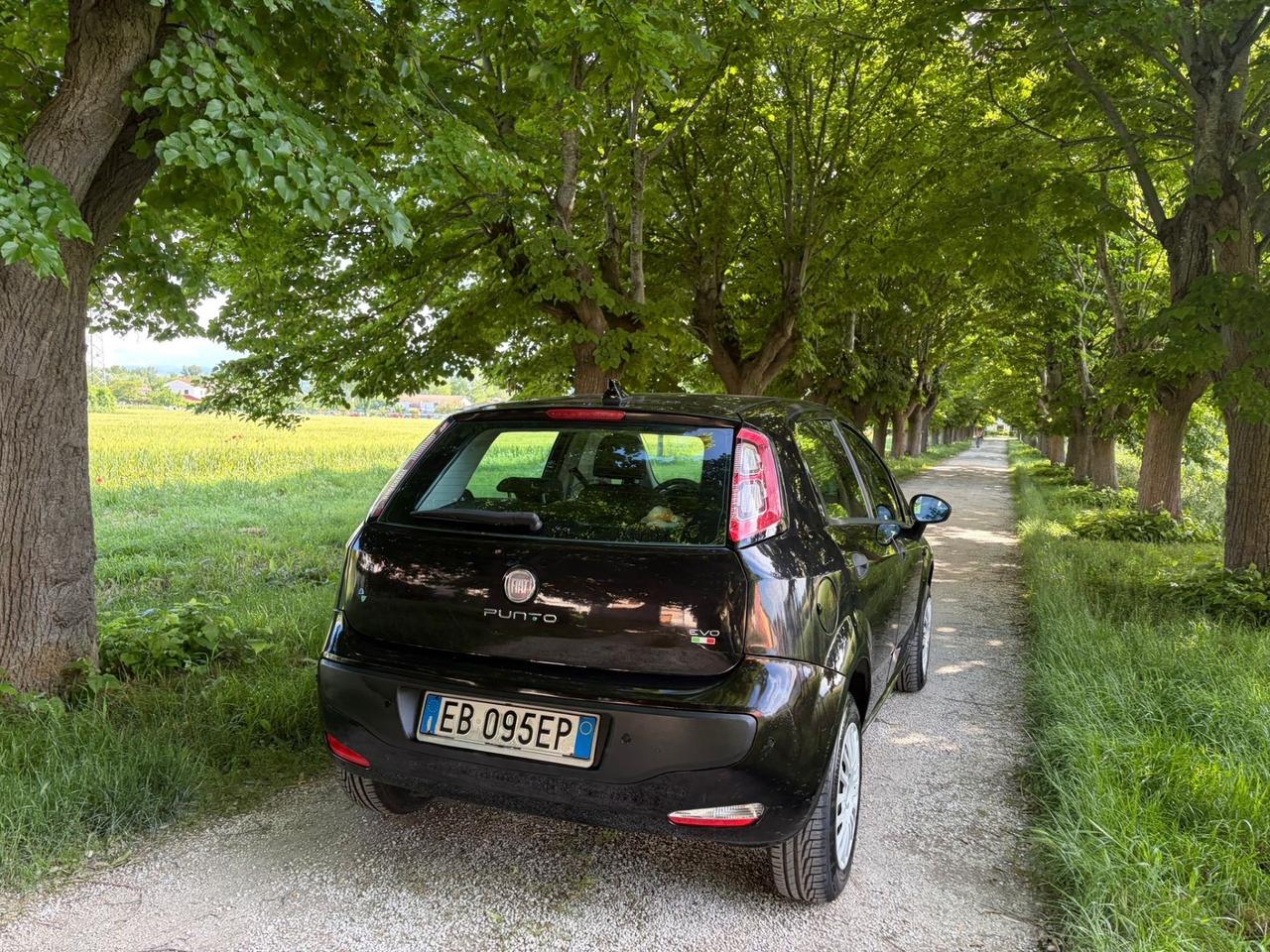 Fiat Punto Evo 1.4 5 porte Natural Power