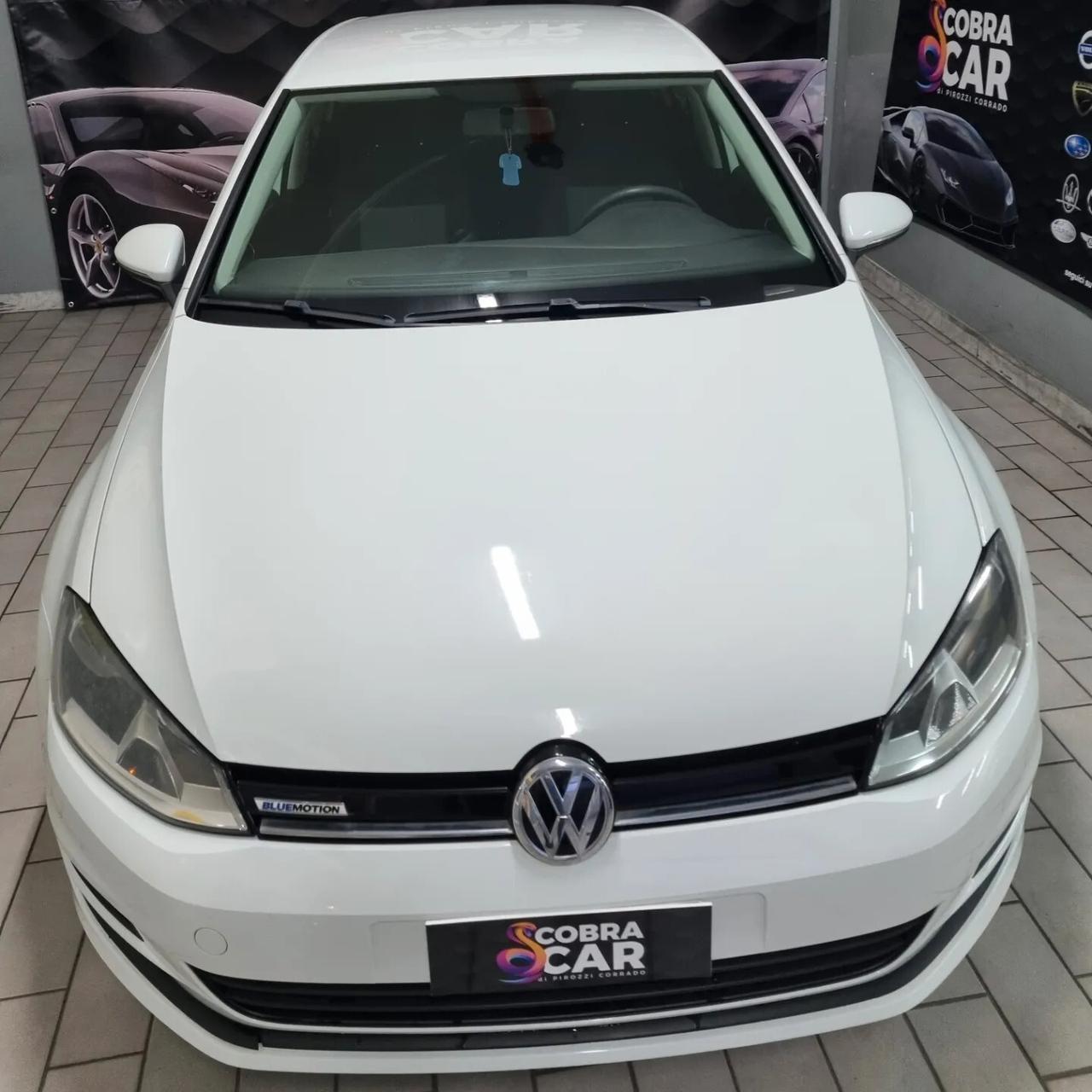 Volkswagen Golf 1.4 TGI 5p. Highline BlueMotion