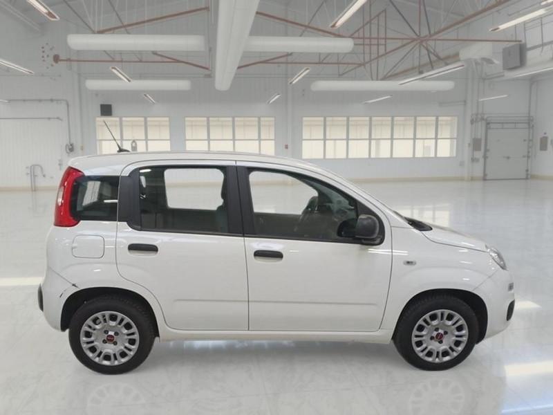FIAT PANDA 1.2 69 CV SES E6D-TEMP EASY 5 PORTE BERLINA