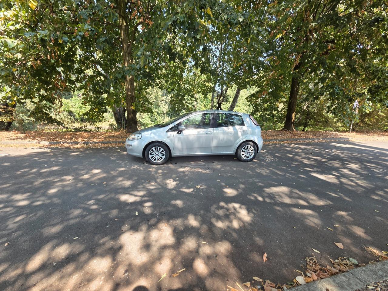 Fiat Punto 1.2 8V 5 porte Street