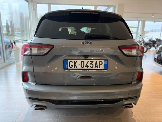 FORD Kuga 1.5 EcoBlue 120 CV 2WD ST-Line