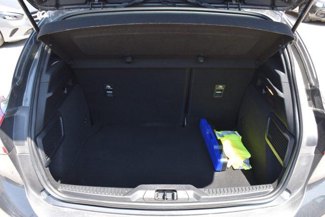 FORD Focus 1.5 EcoBlue 120 CV automatico 5p. ST-Line Co-Pilot