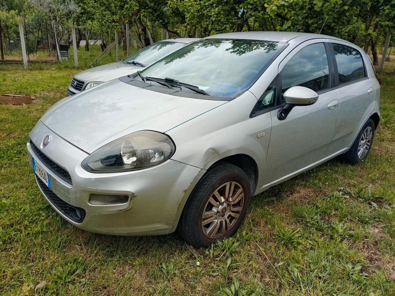Fiat Punto 1.4 8V 5 porte Natural Power Lounge