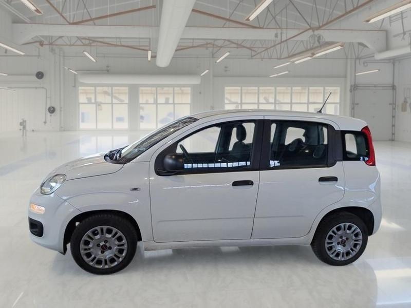 FIAT PANDA 1.2 69 CV SES E6D-TEMP EASY 5 PORTE BERLINA