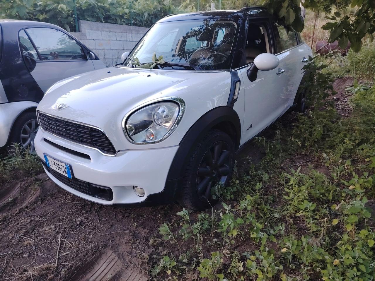 Mini Cooper SD Countryman Mini 2.0 Cooper D Countryman ALL4 Automatica