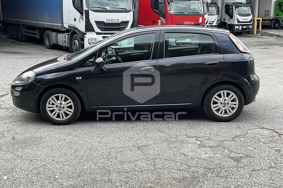 FIAT Punto 1.2 8V 5 porte Lounge