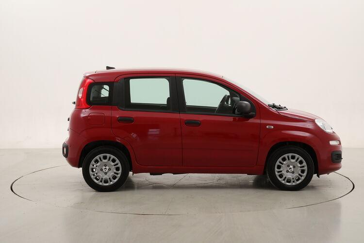 Fiat Panda Hybrid BR210450 1.0 Mild Hybrid 70CV