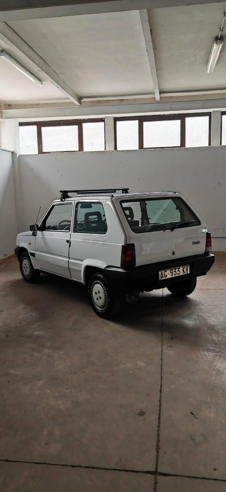 Fiat Panda 900 i.e. cat Young