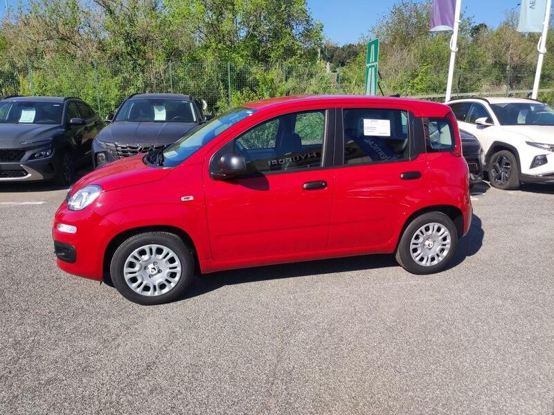 FIAT Panda New My25 1.0 70cv Hybrid Panda