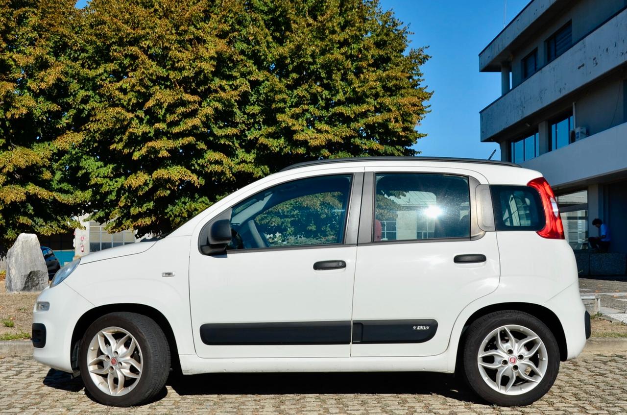 FIAT PANDA 1.2 EASYPOWER GPL 69cv, PREZZO REALE, A/C, PERMUTE