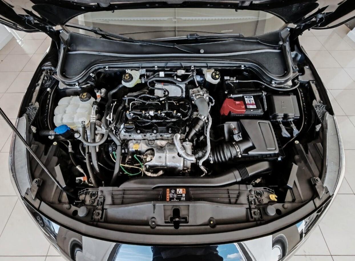 Ford Focus 1.5 EcoBlue 115cv auto ST-Line 2024