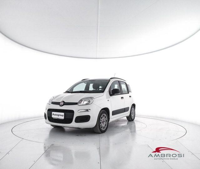 FIAT Panda 1.2 EasyPower Lounge - PER OPERATORI DEL SETTORE