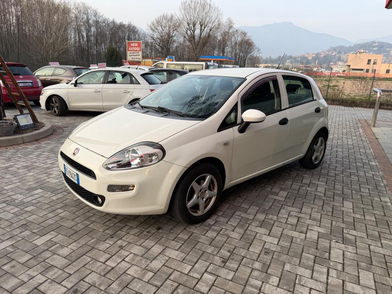 Fiat Punto 1.2 Benzina 2016 Euro6 - NEOPATENTATI