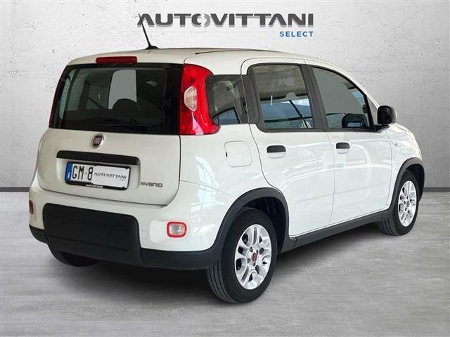 FIAT Panda 1.0 FireFly Hybrid 70cv City Life S&S 5p.ti