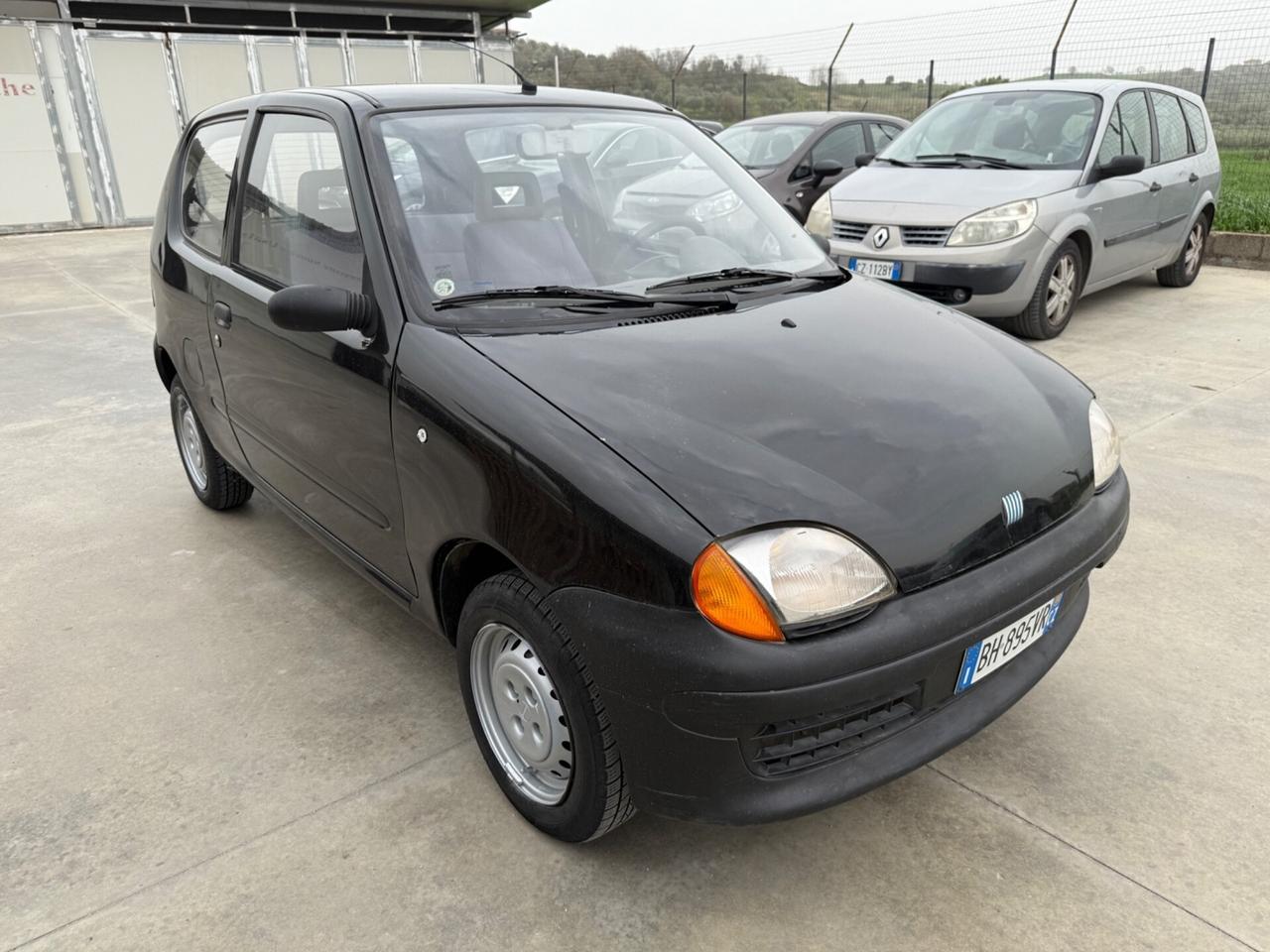 Fiat Seicento 900i cat Young