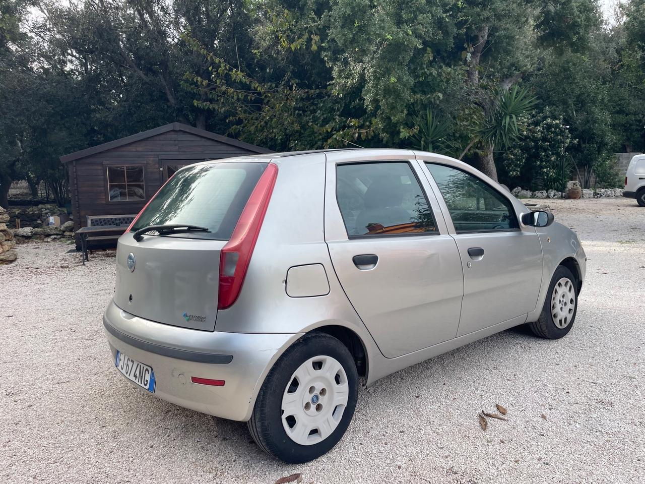 Punto 1.2 Natural Power GUARNIZIONE TESTATA