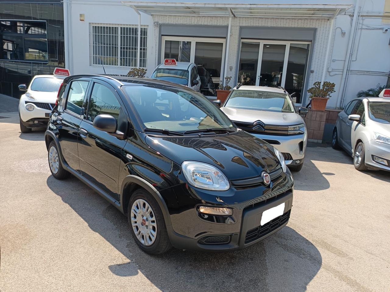 Fiat Panda 1.0 FireFly S&S Hybrid